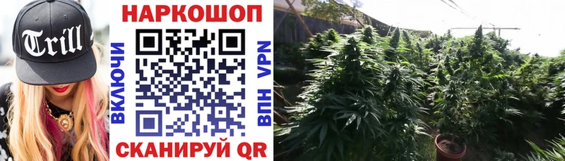 Магазины продажи наркотиков Приморско-Ахтарск ГАШИШ  A PVP  Меф 