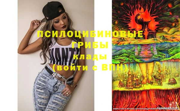 ГАЛЛЮЦИНОГЕННЫЕ ГРИБЫ Нягань