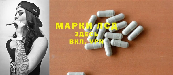 спиды Новодвинск