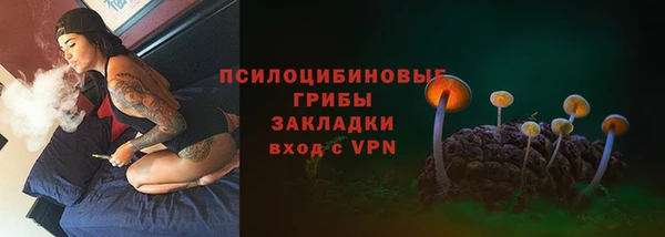 спиды Новодвинск
