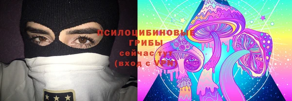mdpv Няндома