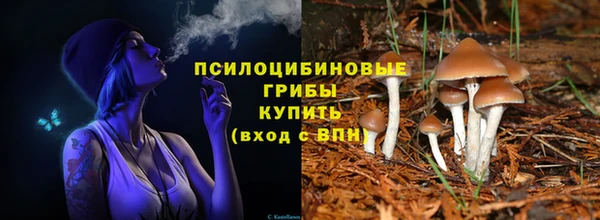 mdpv Няндома