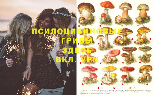 mdpv Няндома