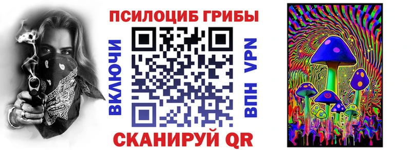 Псилоцибиновые грибы GOLDEN TEACHER  купить наркоту  Приморско-Ахтарск 