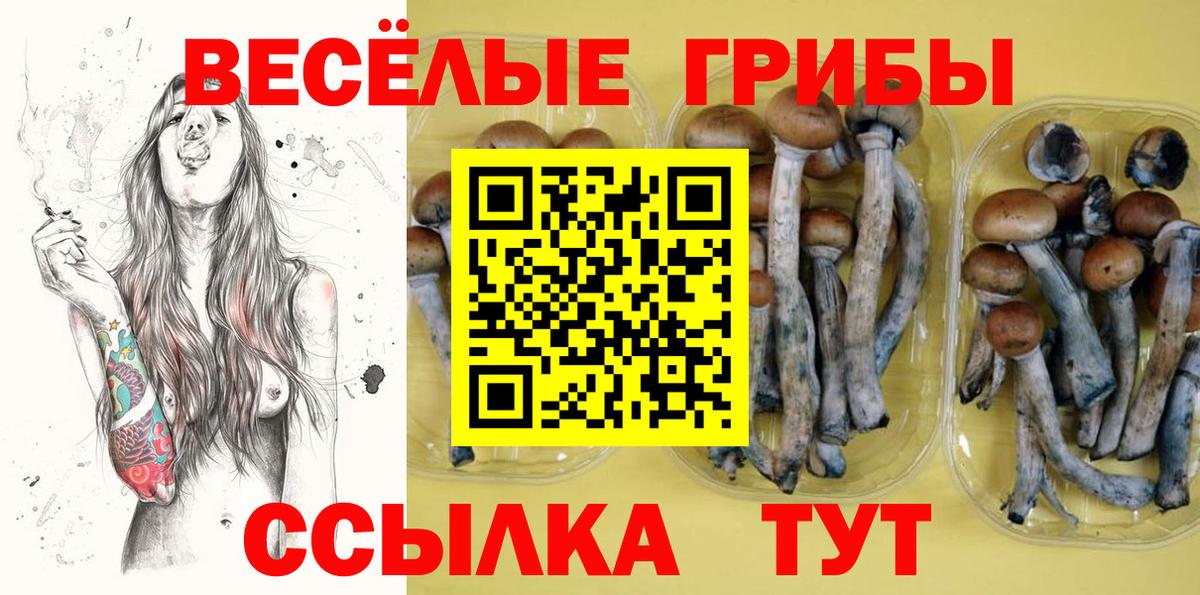 Псилоцибиновые грибы прущие грибы Приморско-Ахтарск